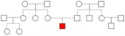 Two Novel Compound Heterozygous Mutations in the TRAPPC9 Gene Reveal a Connection of Non-syndromic Intellectual Disability and Autism Spectrum Disorder